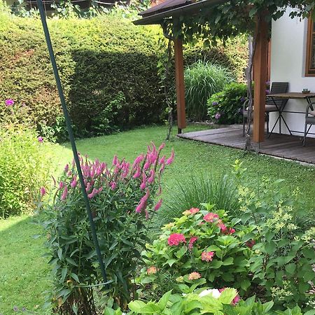 Apartment Oberdorf Breitenbach am Inn Εξωτερικό φωτογραφία